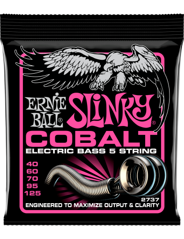 ERNIE BALL 2737 | MusicGoodDeal