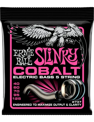 ERNIE BALL 2737 | MusicGoodDeal