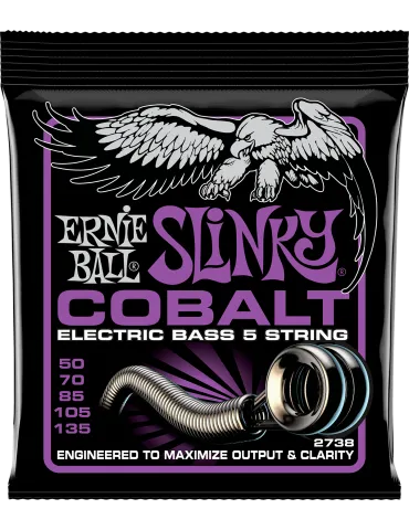 ERNIE BALL 2738 | MusicGoodDeal