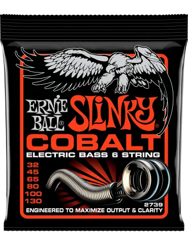 ERNIE BALL 2739 | MusicGoodDeal