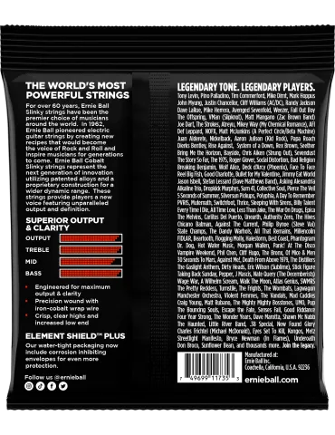 ERNIE BALL 2739 | MusicGoodDeal 2