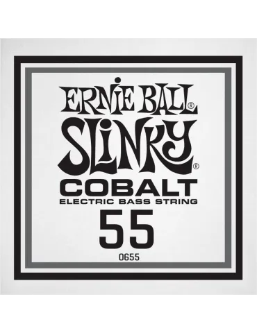 ERNIE BALL 10655 | MusicGoodDeal