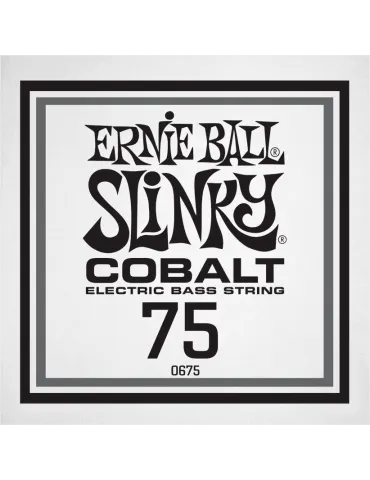 ERNIE BALL 10675 | MusicGoodDeal