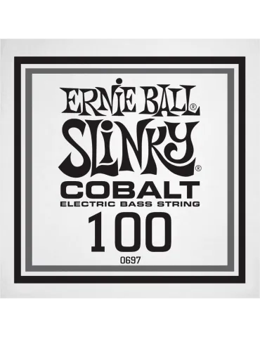 ERNIE BALL 10697 | MusicGoodDeal