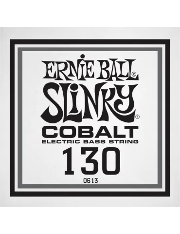 ERNIE BALL 10613 | MusicGoodDeal