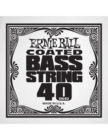 ERNIE BALL 0640 | MusicGoodDeal