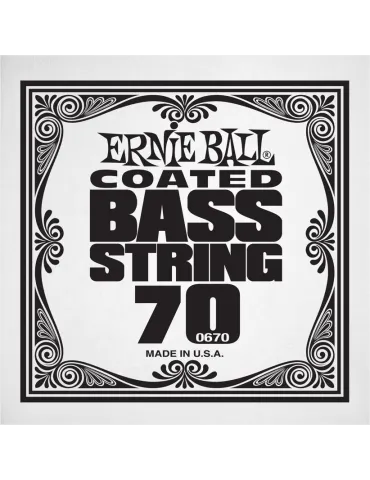 ERNIE BALL 0670 | MusicGoodDeal