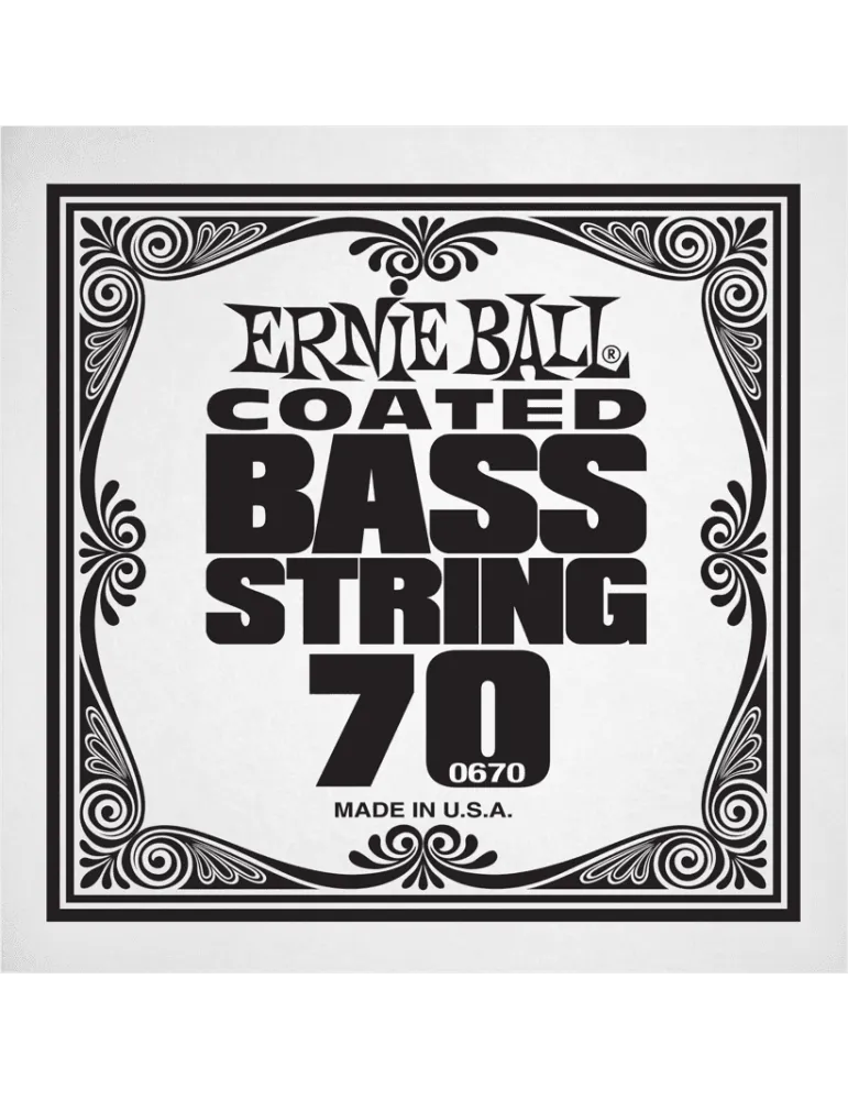ERNIE BALL 0670 | MusicGoodDeal
