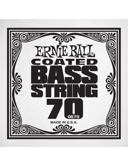 ERNIE BALL 0670 | MusicGoodDeal