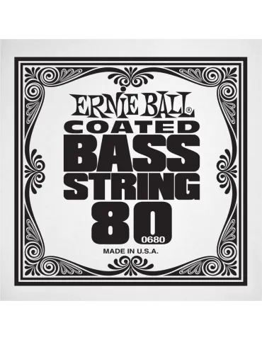 ERNIE BALL 0680 | MusicGoodDeal