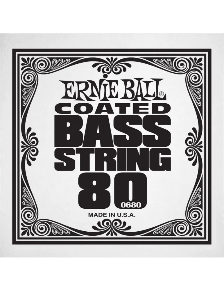 ERNIE BALL 0680 | MusicGoodDeal