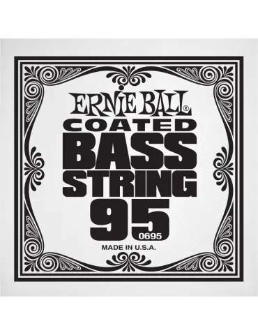 ERNIE BALL 0695 | MusicGoodDeal