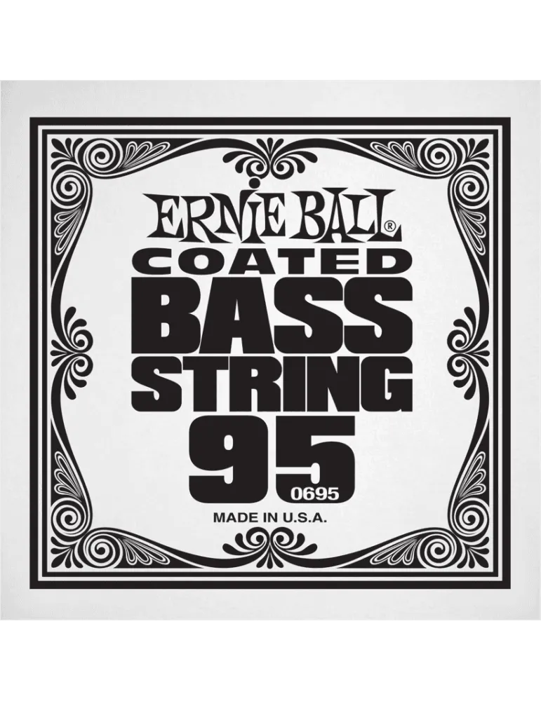 ERNIE BALL 0695 | MusicGoodDeal