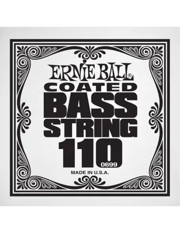 ERNIE BALL 0699 | MusicGoodDeal