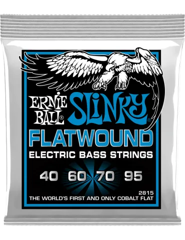 ERNIE BALL 2815 | MusicGoodDeal