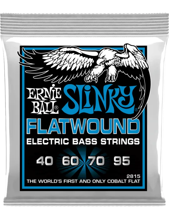 ERNIE BALL 2815 | MusicGoodDeal