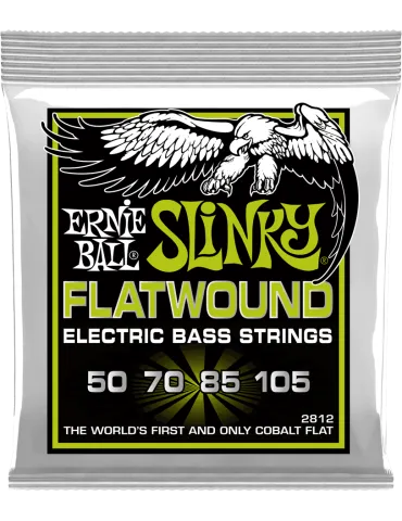ERNIE BALL 2812 | MusicGoodDeal
