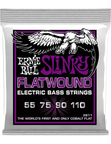 ERNIE BALL 2811 | MusicGoodDeal