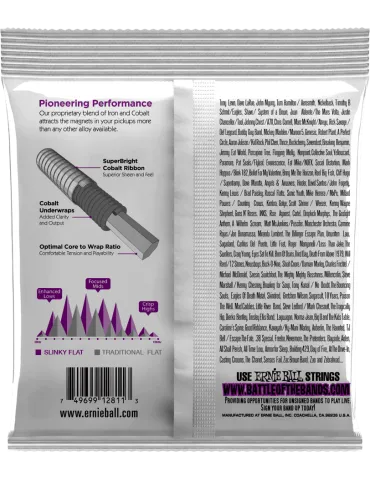 ERNIE BALL 2811 | MusicGoodDeal 2