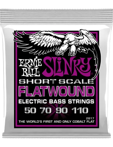 ERNIE BALL 2817 | MusicGoodDeal