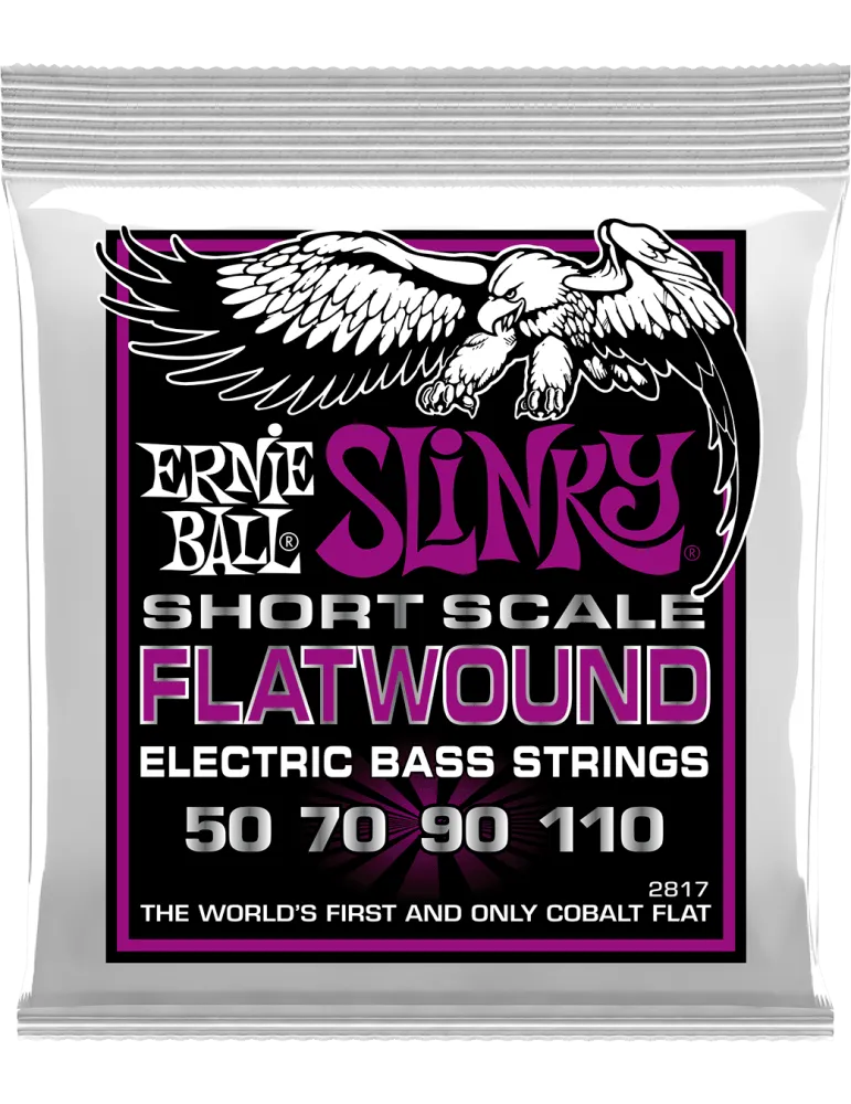ERNIE BALL 2817 | MusicGoodDeal