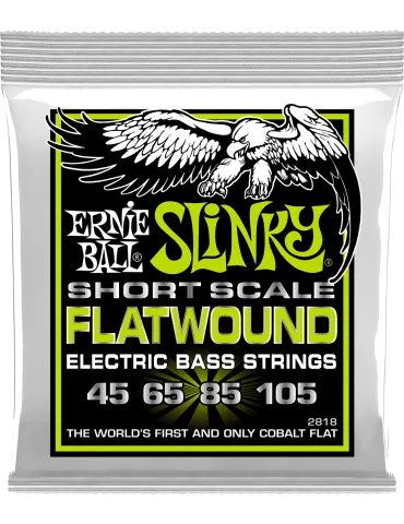 ERNIE BALL 2818 | MusicGoodDeal