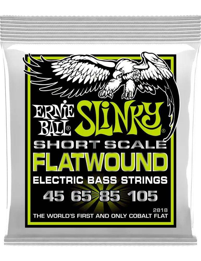 ERNIE BALL 2818 | MusicGoodDeal