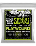 ERNIE BALL 2818 | MusicGoodDeal