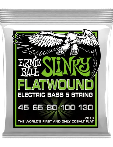 ERNIE BALL 2816 | MusicGoodDeal