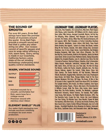 ERNIE BALL 2808 | MusicGoodDeal 2
