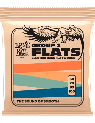 ERNIE BALL 2804 | MusicGoodDeal