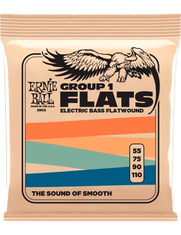 ERNIE BALL 2802 | MusicGoodDeal