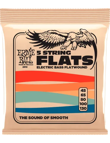 ERNIE BALL 2810 | MusicGoodDeal