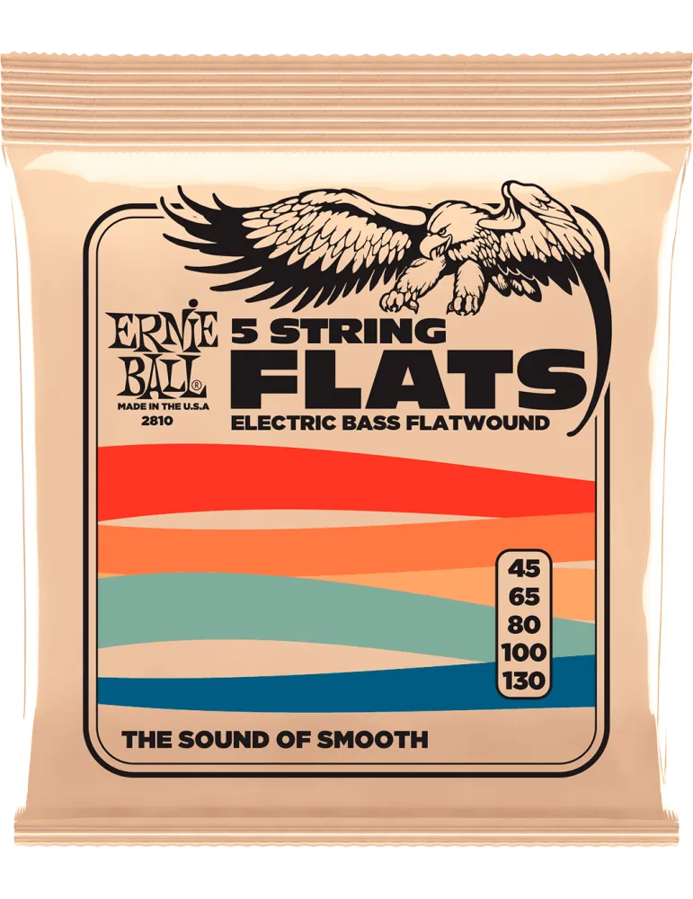 ERNIE BALL 2810 | MusicGoodDeal