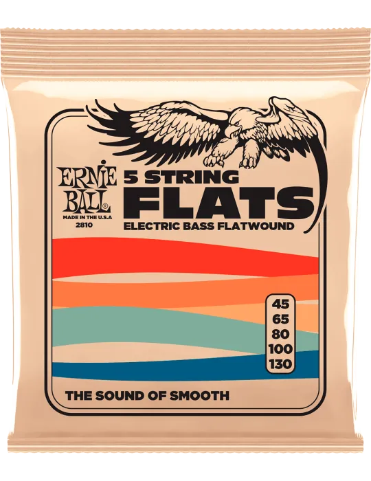 ERNIE BALL 2810 | MusicGoodDeal