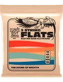ERNIE BALL 2810 | MusicGoodDeal