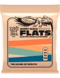 ERNIE BALL 2801 | MusicGoodDeal