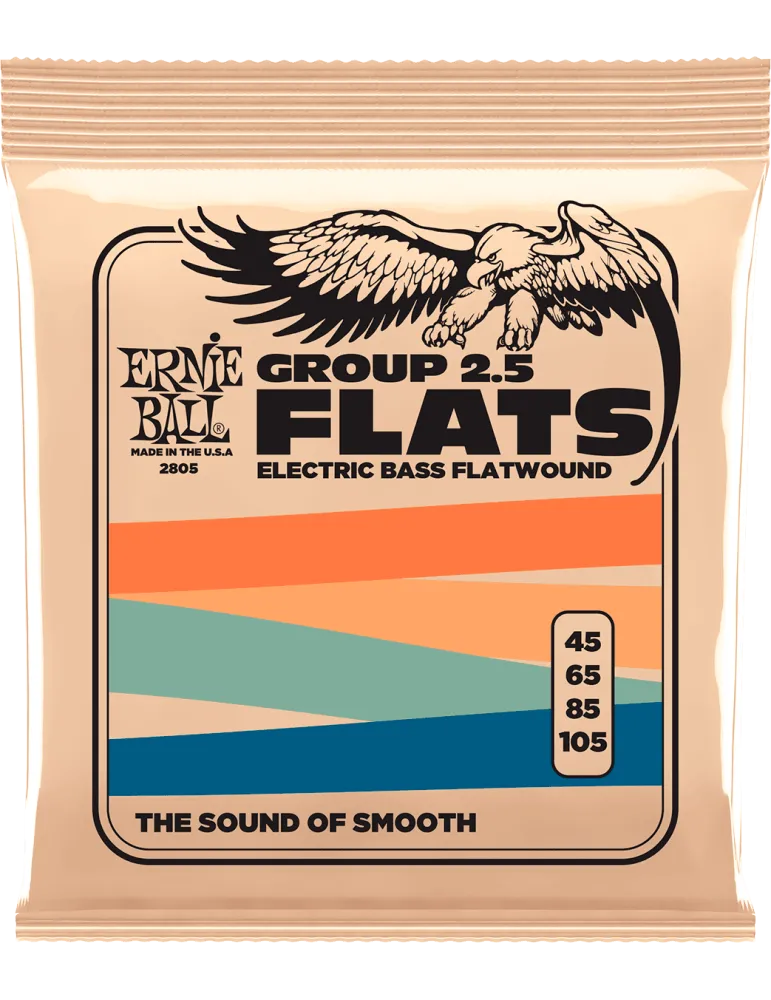 ERNIE BALL 2805 | MusicGoodDeal