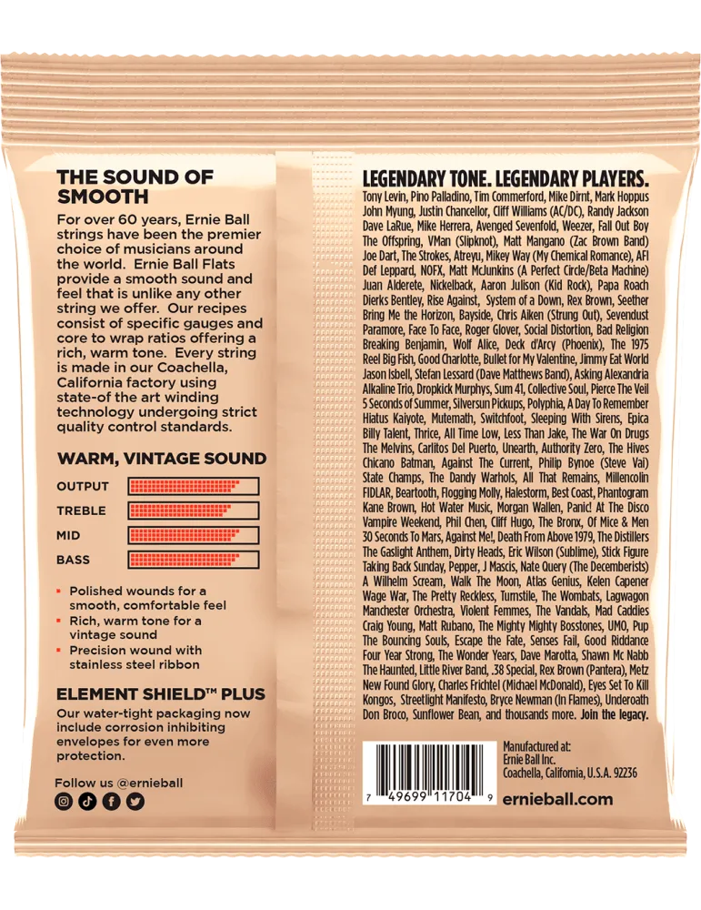 ERNIE BALL 2805 | MusicGoodDeal