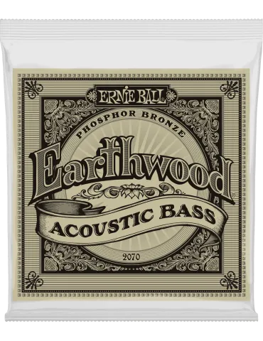 ERNIE BALL 2070 | MusicGoodDeal