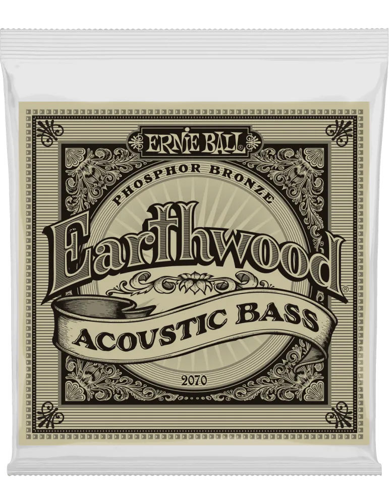ERNIE BALL 2070 | MusicGoodDeal