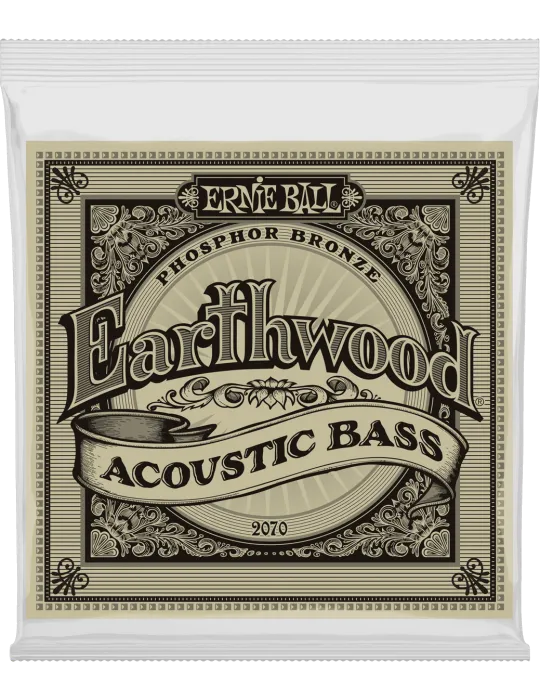 ERNIE BALL 2070 | MusicGoodDeal