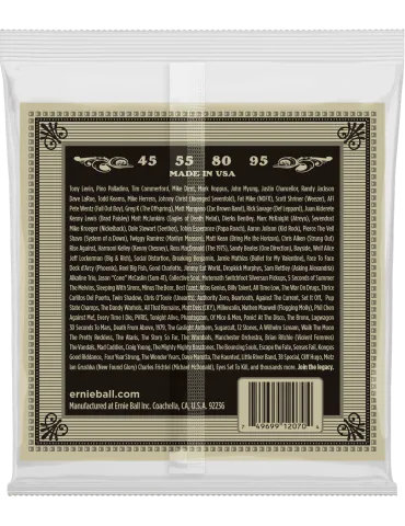 ERNIE BALL 2070 | MusicGoodDeal 2