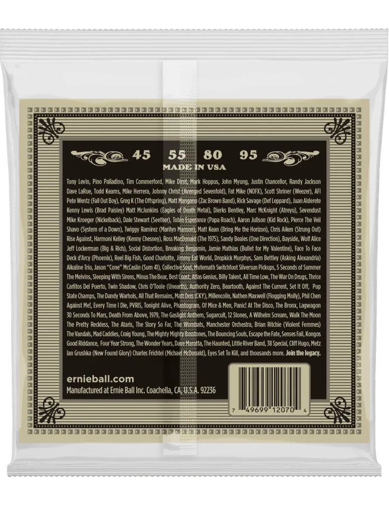 ERNIE BALL 2070 | MusicGoodDeal