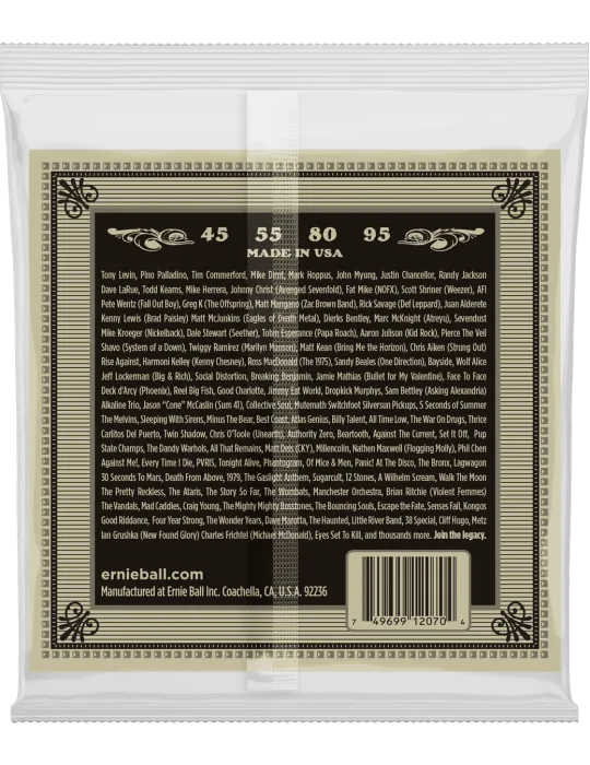 ERNIE BALL 2070 | MusicGoodDeal