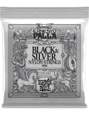 ERNIE BALL 2406 | MusicGoodDeal