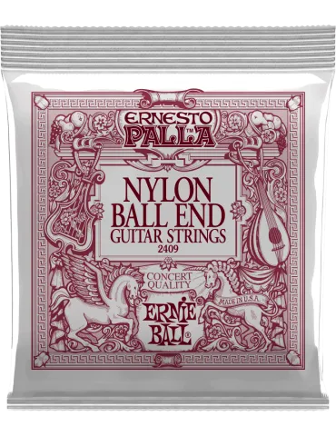 ERNIE BALL 2409 | MusicGoodDeal