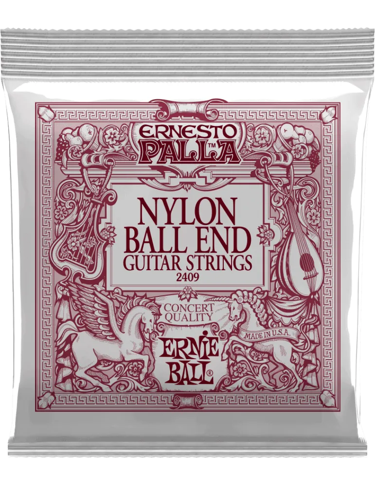ERNIE BALL 2409 | MusicGoodDeal