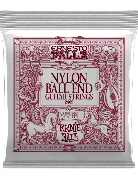 ERNIE BALL 2409 | MusicGoodDeal