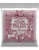 ERNIE BALL 2409 | MusicGoodDeal